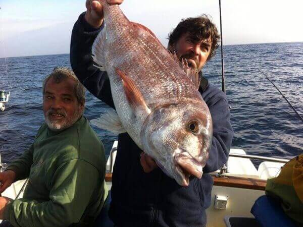 Zina Tours-Pesca desportiva e embarcada em Lisboa